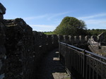 SX09301 Crenellations on Restomel Castle.jpg